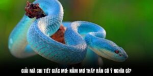 nằm mơ thấy rắn