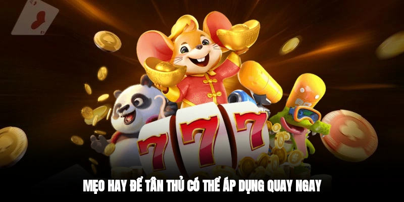 Mẹo hay để tân thủ có thể áp dụng quay ngay