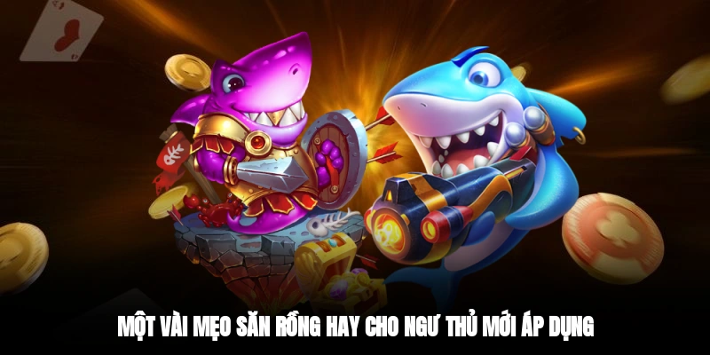 Một vài mẹo săn rồng hay cho ngư thủ mới áp dụng