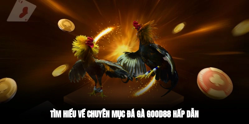 Tìm hiểu về chuyên mục đá gà GOOD88 hấp dẫn