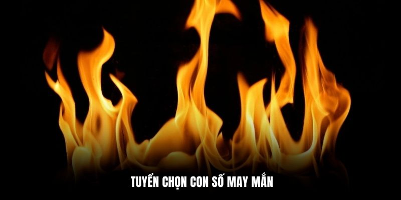 Tuyển chọn con số may mắn